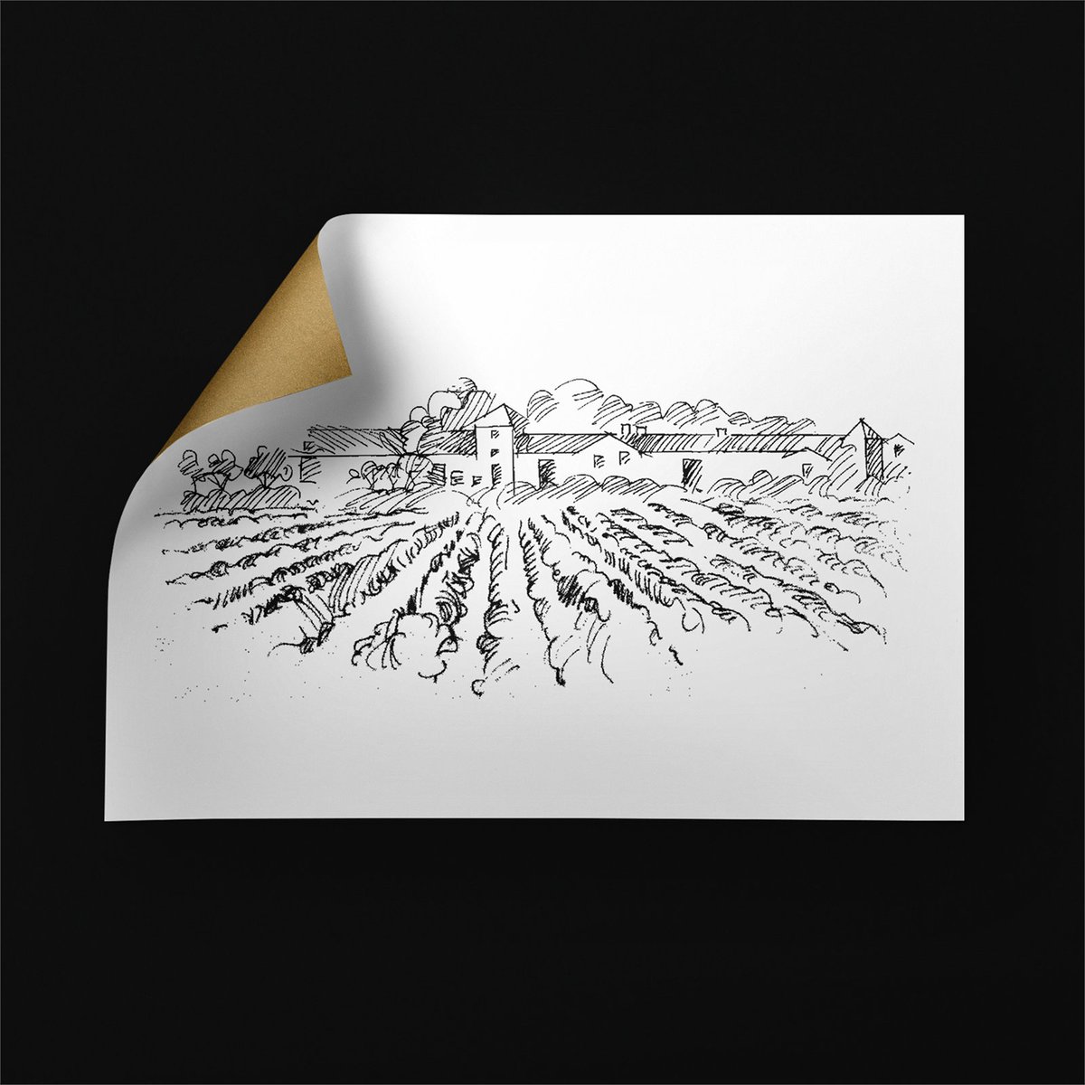 armoder1's tweet photo. Creamos la imagen del Aceite de Oliva Extra Virgen Hacienda El Espino para #haciendaelespino
#armoder #packagingdesign #graphicdesign #oliveoil #aceitedeoliva #Almansa
#armoderdesign
#designGiovanniAcquaviva #illustrationGiovanniAcquaviva
https://t.co/Z8pSfcnXG5 https://t.co/9cuS0GgYua