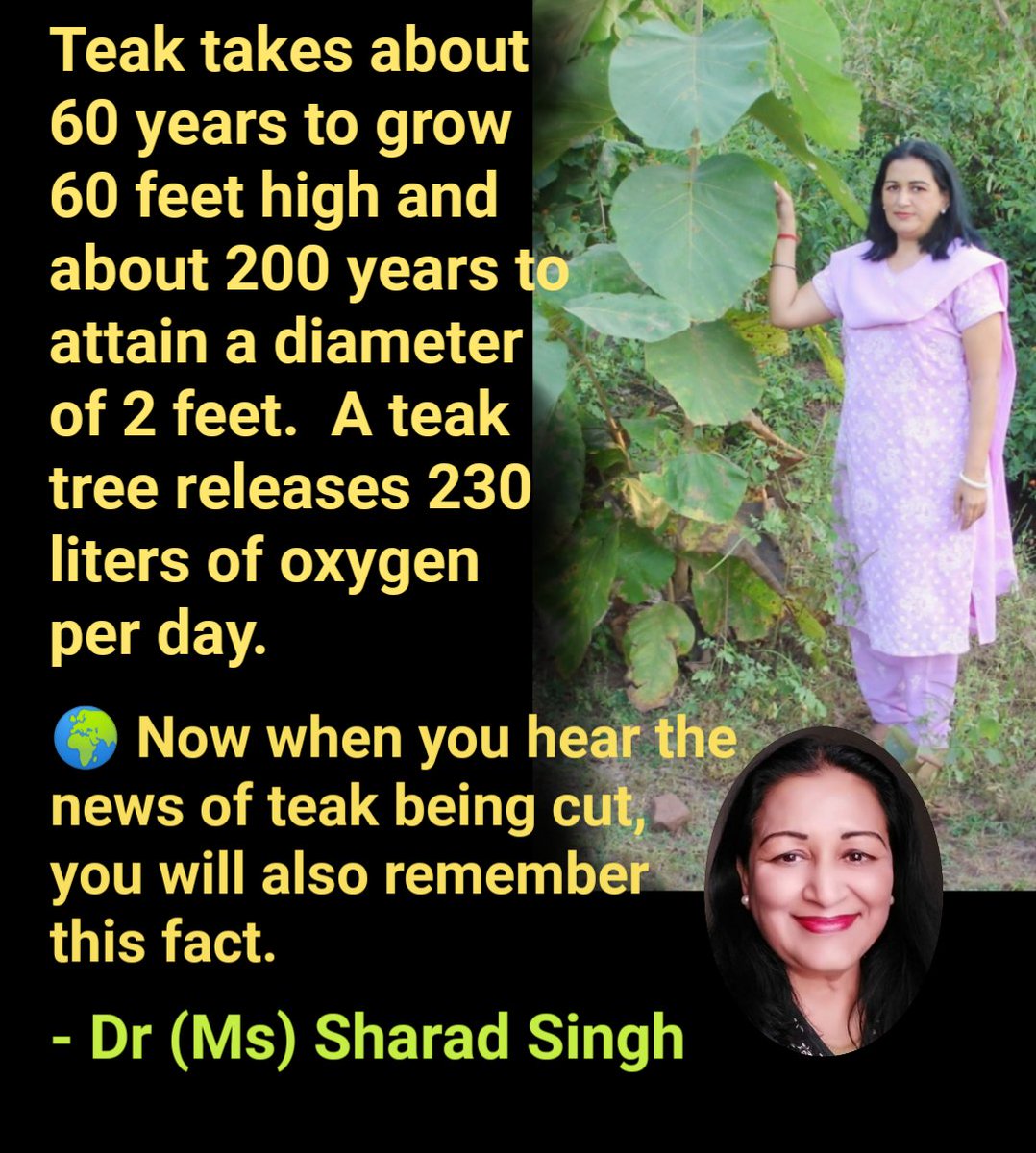 MissSharadSingh's tweet photo. #ClimateCahnge #SaveClimate
#AwarenessForClimate
#OurClimateOurLife
#OurClimate #MyClimateDiary
#KnowYourClimate
#KnowYourEnvironment
#unclimatechange
#nature #Environment #ClimateCrisis
#ThinkAboutIt #talkaboutit
#teak #teakwood #illegal_deforestation
#SaveForest #Savetrees https://t.co/Rys1Yry4qp