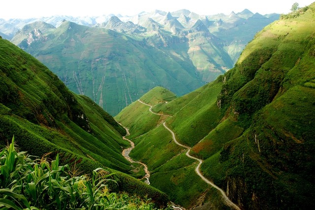 on_vietnam's tweet image. Ma Pi Leng Pass is one of the four great mountain peaks of the North of Vietnam. Coming to this place, the Ma Pi Leng Pass will have a stop for you to admire the breathtaking scenery beneath.
source: Tien Nguyen + internet

#mapilengpass #vietnam #travel #asia #myvietnam #nature