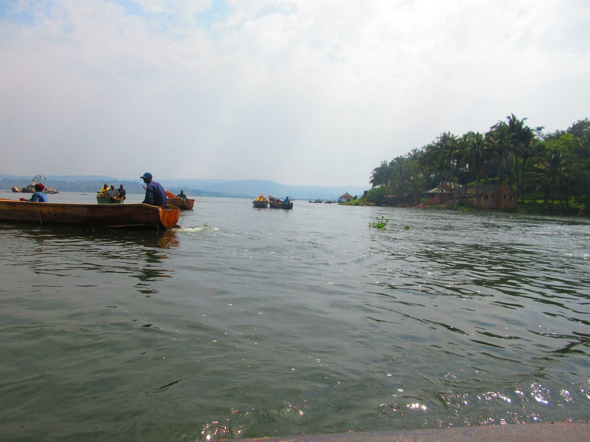 With it multitude of lakes and rivers, Uganda is a perfect place to watch fishermen cast or draw their nets.

#lakes
#rivers
#fishermen
#fishingnets
#fishingvillages
#visitUganda
#ssambasafaris
#Ugandanpeople
#safariUganda
#castingnets