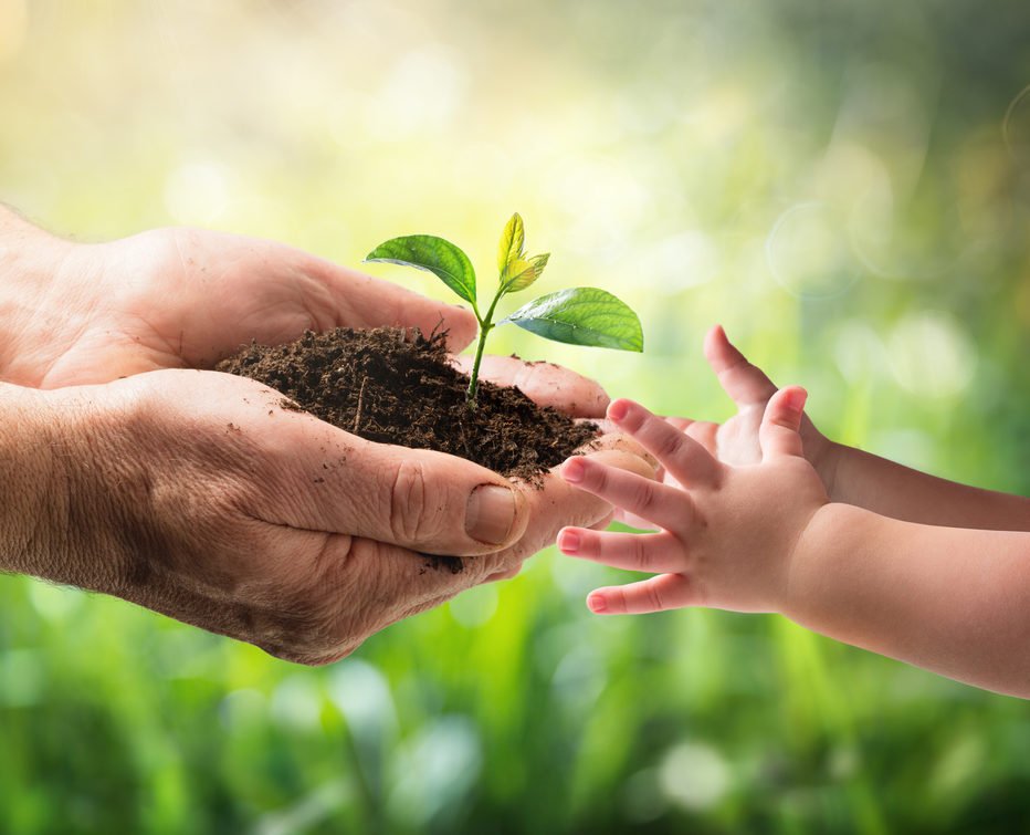 HelenaBenOthman's tweet photo. #BONPLAN #ReforestAction #naturelovers #biodiversity #SaveLives #plants
Avec @reforestaction on peut offrir un arbre c'est un cadeau original mais aussi une occasion de sauver la nature,c est la meilleure solution pour le climat et la biodiversité🌿
⏩https://t.co/X91evG3ZB4 https://t.co/BBlPj6MCWf