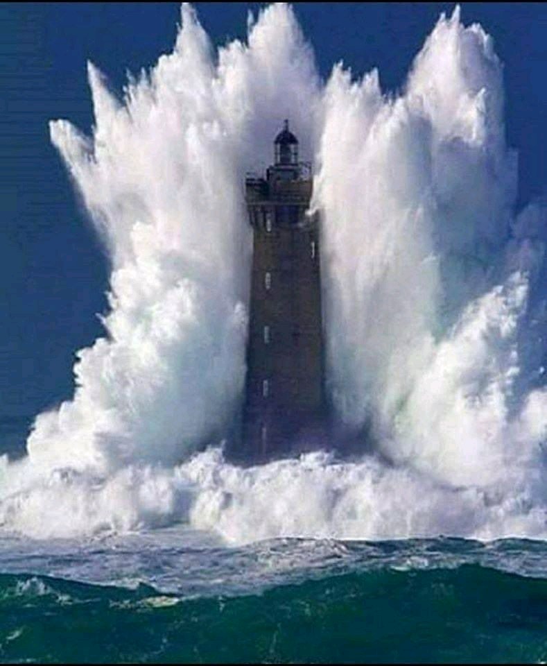 NELLYTSHELAMUT's tweet image. Le saviez-vous ?
#Pan est un préfixe qui marque une idée de totalité, de globalité. 
Les synonymes de PAN sont : omni et tout
D&apos;où #Pandémie : maladie qui affecte l&apos;ensemble de la population mondiale
#Pangramme, phrase contenant toutes les lettres de l&apos;alphabet français.