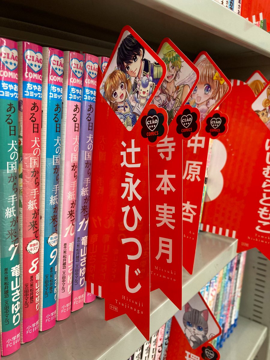 本屋さんで見かけて嬉しくなったー😭✨✨✨

嬉しくて許可得て撮らせてもらいました🎊 