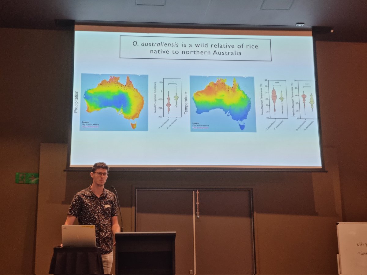 Awesome talk @oryza_aaron on the assembly of O. australiensis!  <a href="/asps_ozplants/">Australian Society of Plant Scientists</a> #ASPS2021
