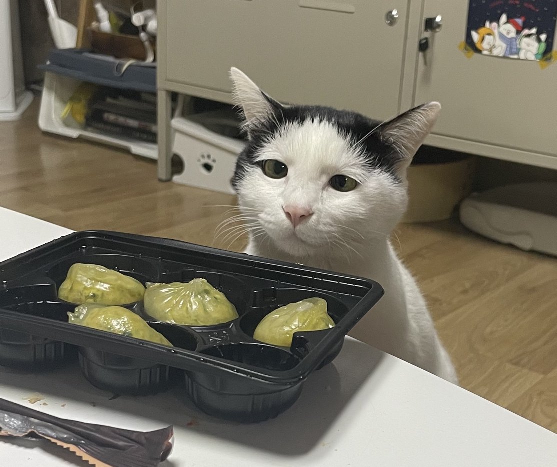 닭가슴살 만두를 노리는 맹수의 표정,,