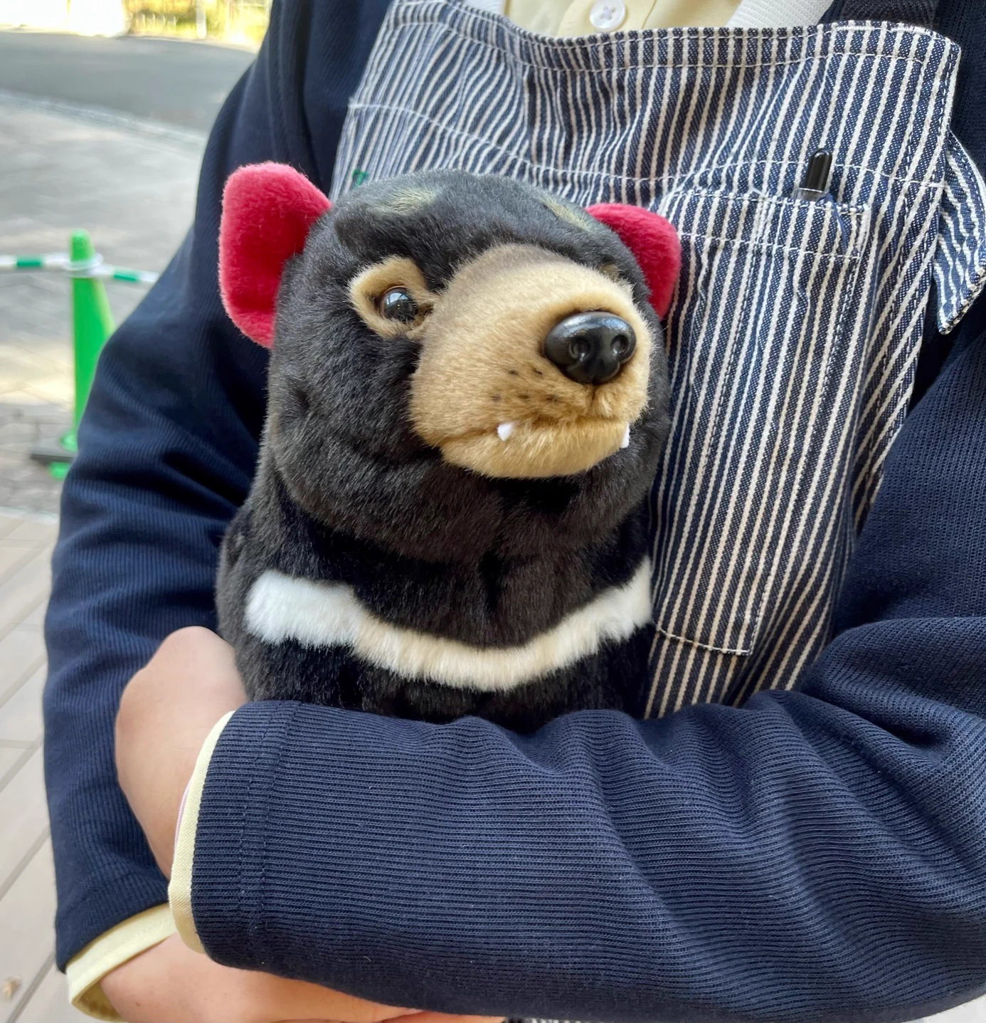 多摩動物公園［公式］ on X: 