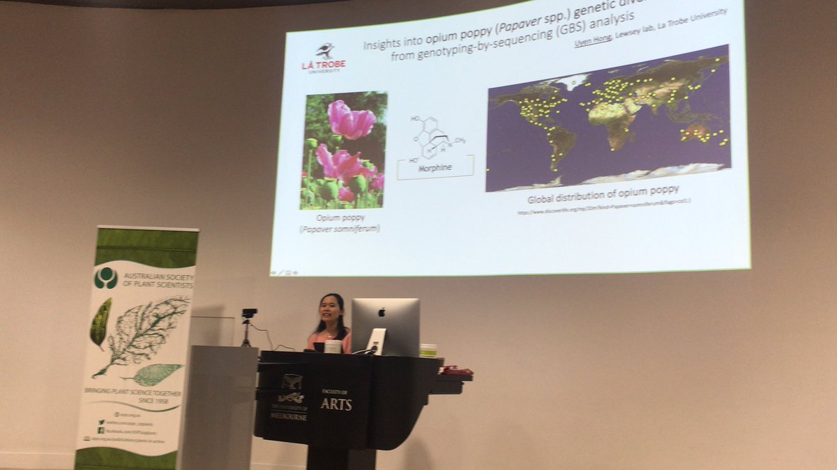 It’s Uyen Vu Thuy Hong now talking about genetic diversity in opium poppy <a href="/asps_ozplants/">Australian Society of Plant Scientists</a> #ASPS2021 #VICplantsci