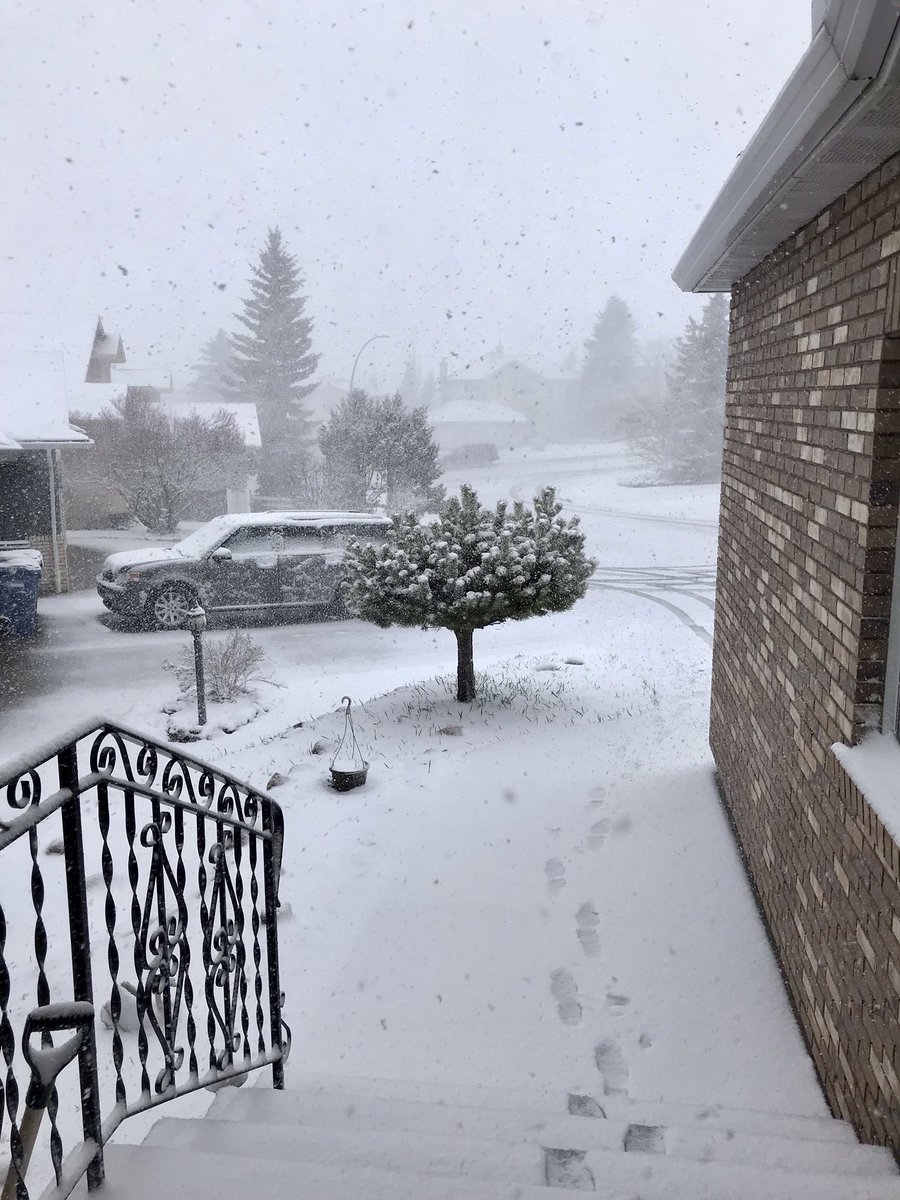 justnetoo's tweet photo. I still remember the first fall of snow, and how it glistened as it fell… I remember it #AllTooWell … https://t.co/5l6C5G8ERs