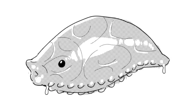 エロ生物です 