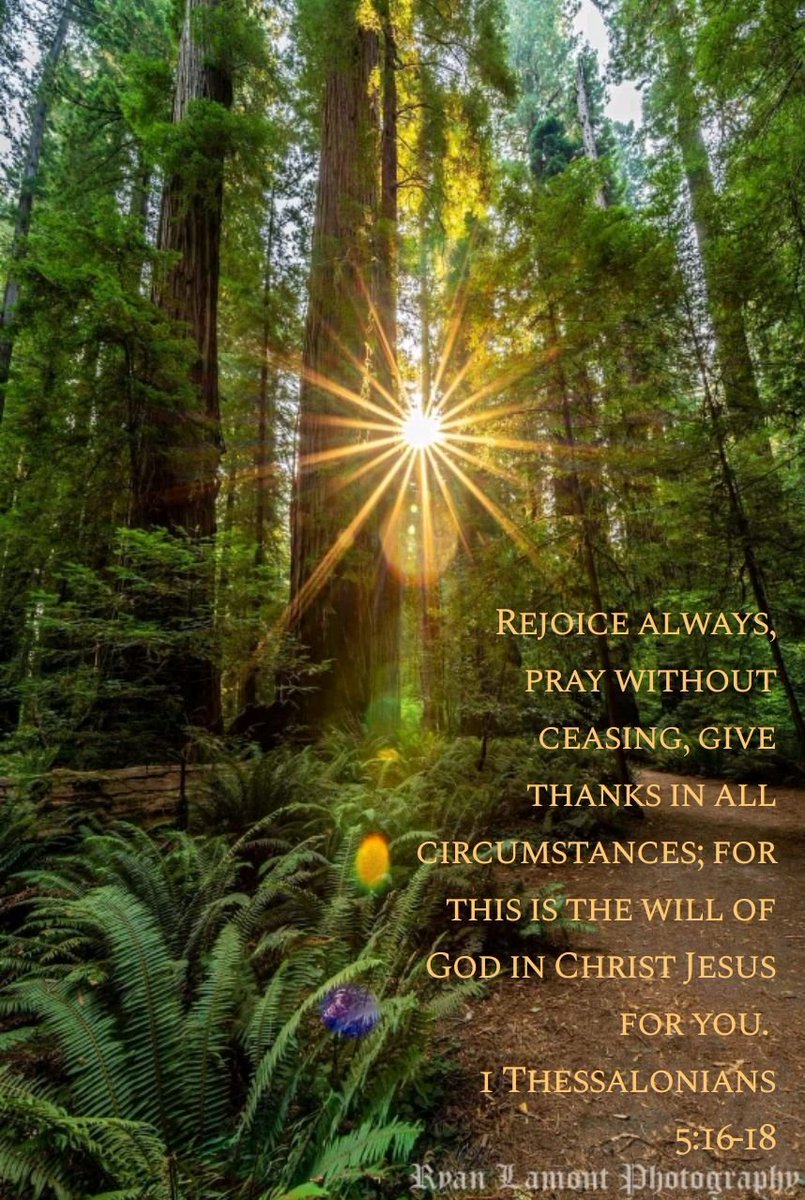 Rufffies tweet media