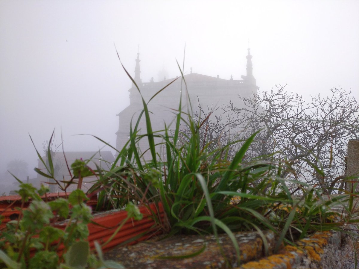 bertol_ismael's tweet photo. Buenos días mañana de niebla tarde de paseo 😍😍😍 https://t.co/b5GN2KRCiP