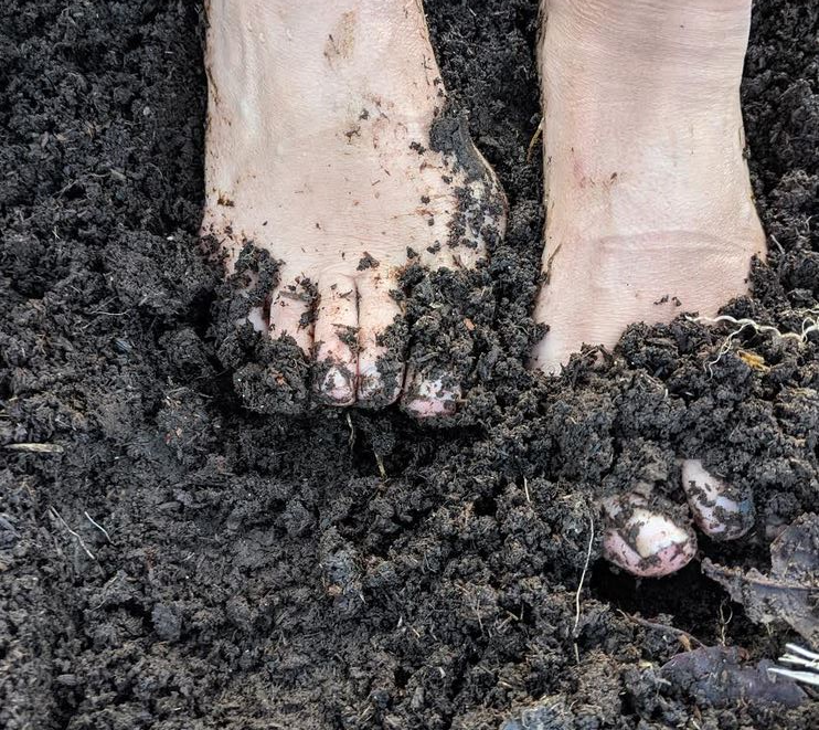 'The #soil crunched under her feet ....'  Add your soil voice to our wonderful story map <3 soilvoices@gmail.com or via form on website in bio. <a href="/uksoils/">uksoils</a> <a href="/Riverford/">Riverford</a> <a href="/wickedleeksmag/">Wicked Leeks</a> <a href="/sohoradio/">Soho Radio</a> <a href="/dimbleby_jd/">Jonathan Dimbleby</a> <a href="/Soil_Science/">British Society of Soil Science</a> <a href="/HughFW/">Hugh Fearnley-Whittingstall</a> @bridgetmck <a href="/TiCLme/">TiCL 🍃💚🍃</a> #kids #schools #adults #farmers
