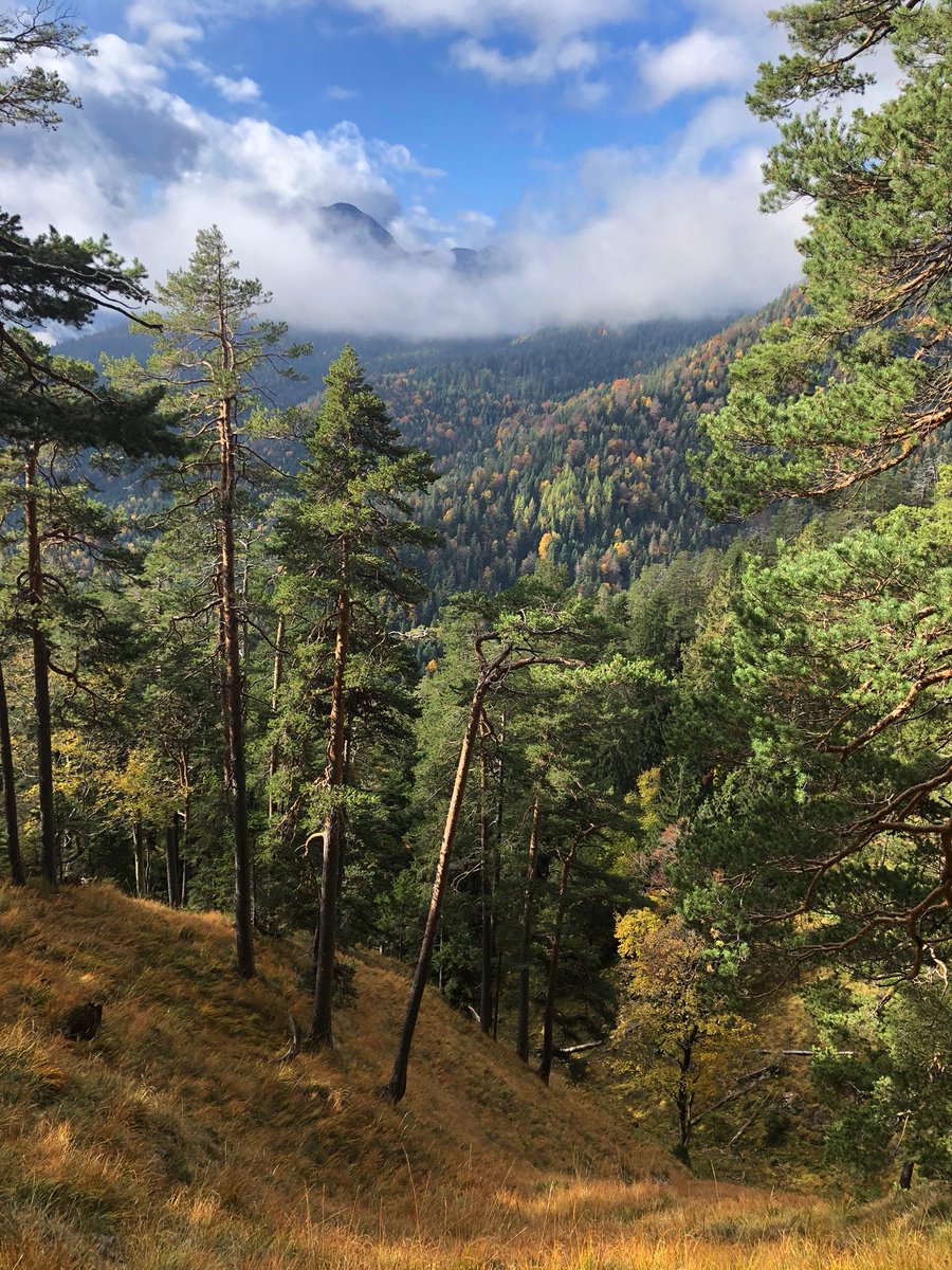 Ik vraag iedereen die van natuur houdt een zelfgenomen foto te plaatsen. Alleen foto, geen tekst. Doel is om beetje rust en balans in de negatieve sfeer te creëren. Doe je mee? Kopieer tekst en plaats natuurfoto op je eigen tijdlijn. Dan kunnen we met z’n allen ervan genieten.
