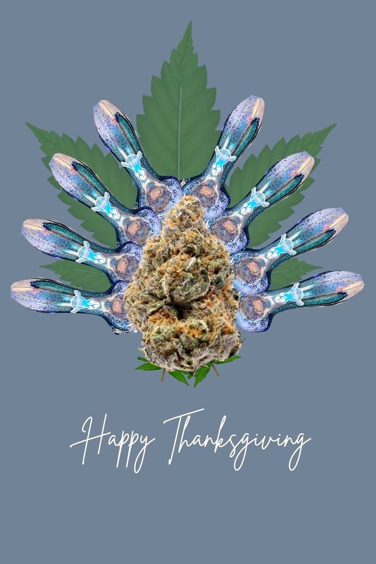 Rufffies tweet media