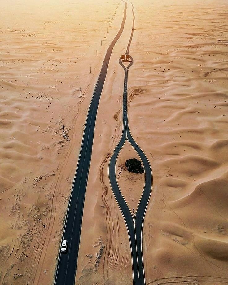 Greenisamissio1's tweet photo. According to a study, 1 ha of forest in Germany stores an average of 6t Co². We lose 50,000 km² of land to the desert/year. A reforestation of this area and if we calculate the factor 3t/ha/year Co² uptake, we would bind 15mio. t Co²/year. We need more trees https://t.co/2lMVqVGU80