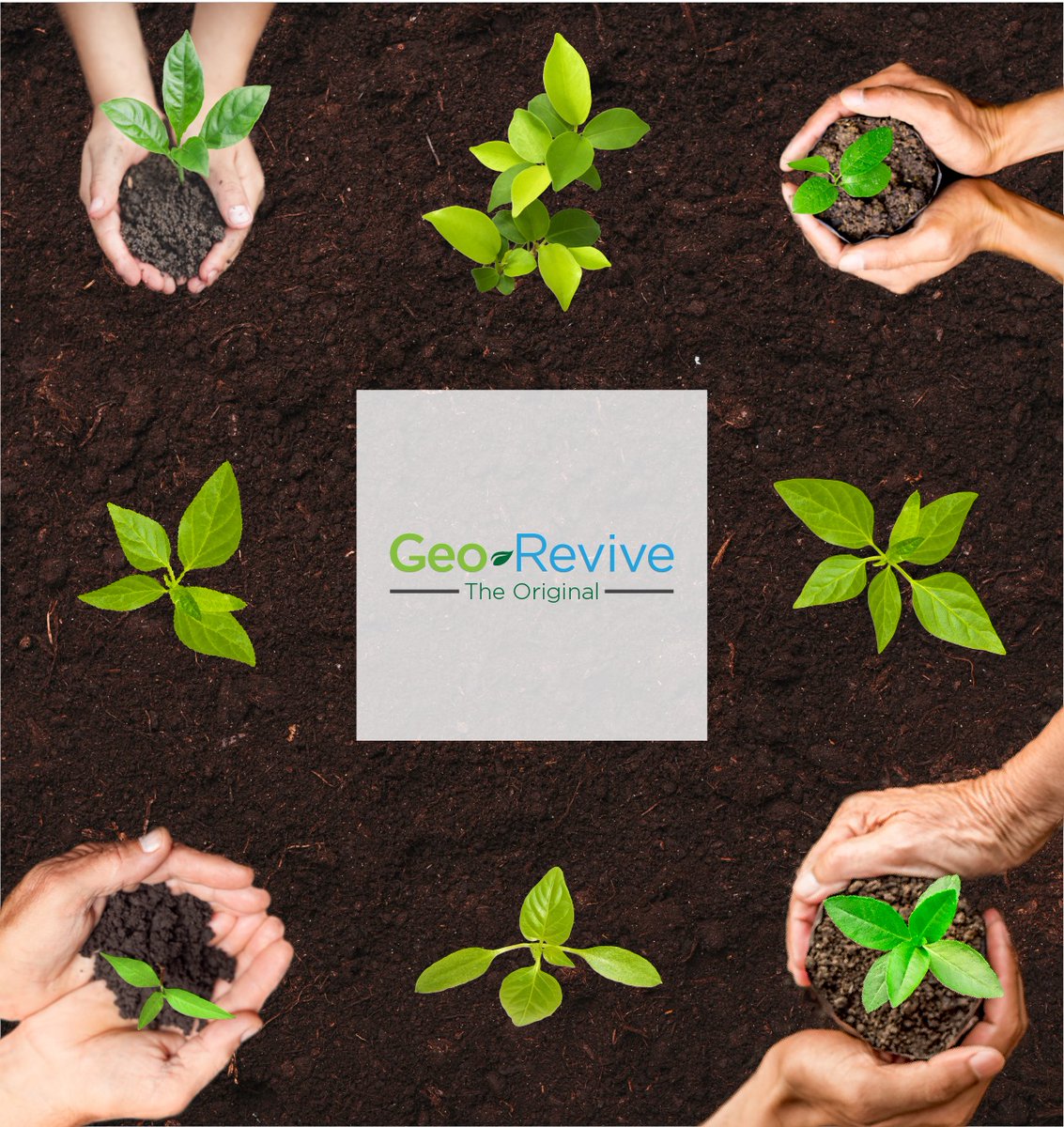 Greenisamissio1's tweet photo. According to a study, 1 ha of forest in Germany stores an average of 6t Co². We lose 50,000 km² of land to the desert/year. A reforestation of this area and if we calculate the factor 3t/ha/year Co² uptake, we would bind 15mio. t Co²/year. We need more trees https://t.co/2lMVqVGU80