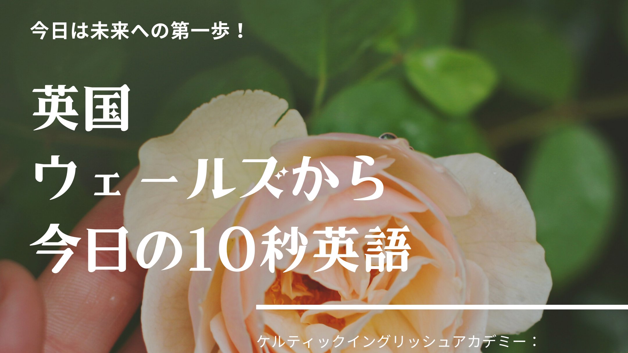 Celtic English Jp Nice をもっと深堀しよう Beneficialも使えます Meaning Useful Advantageous 例えば こんな風に言えたらカッコいいですね I Thought The Training Was Nice I Thought The Training Was Beneficial 留学 ウェールズ