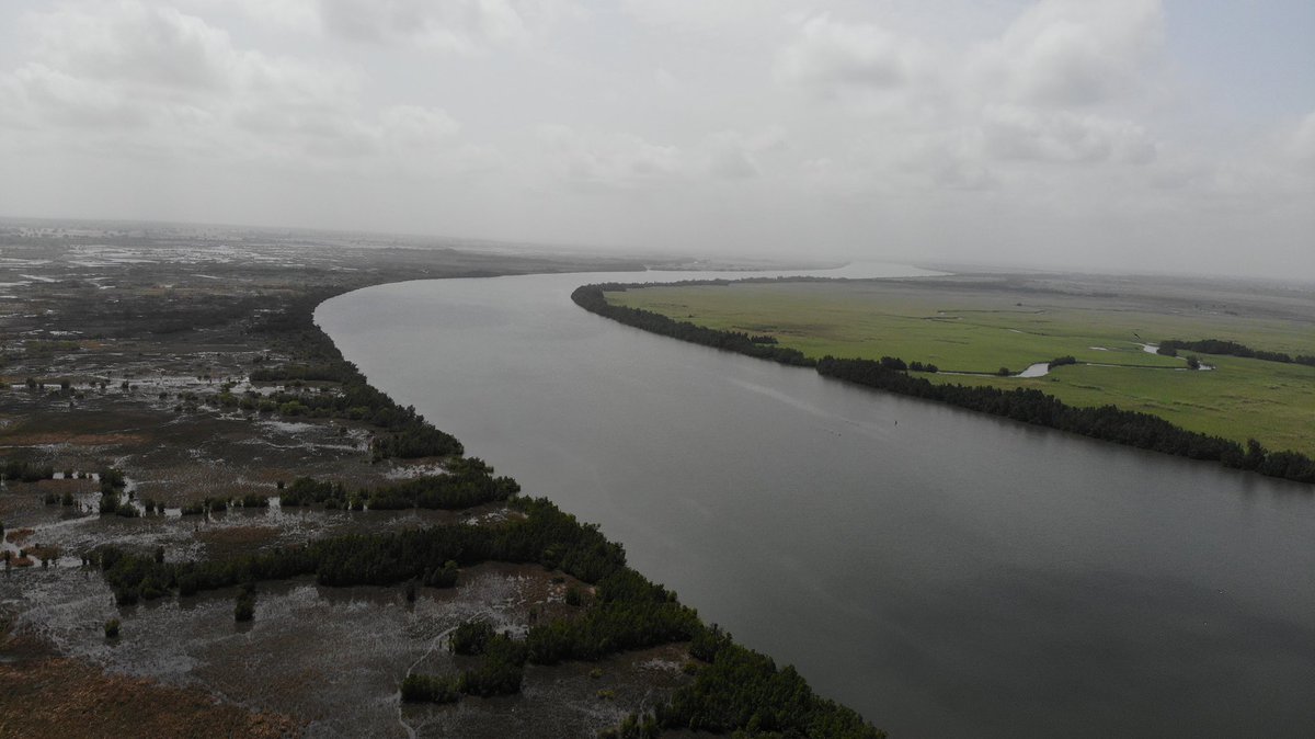Gambia Groundnut Corporation tweet media