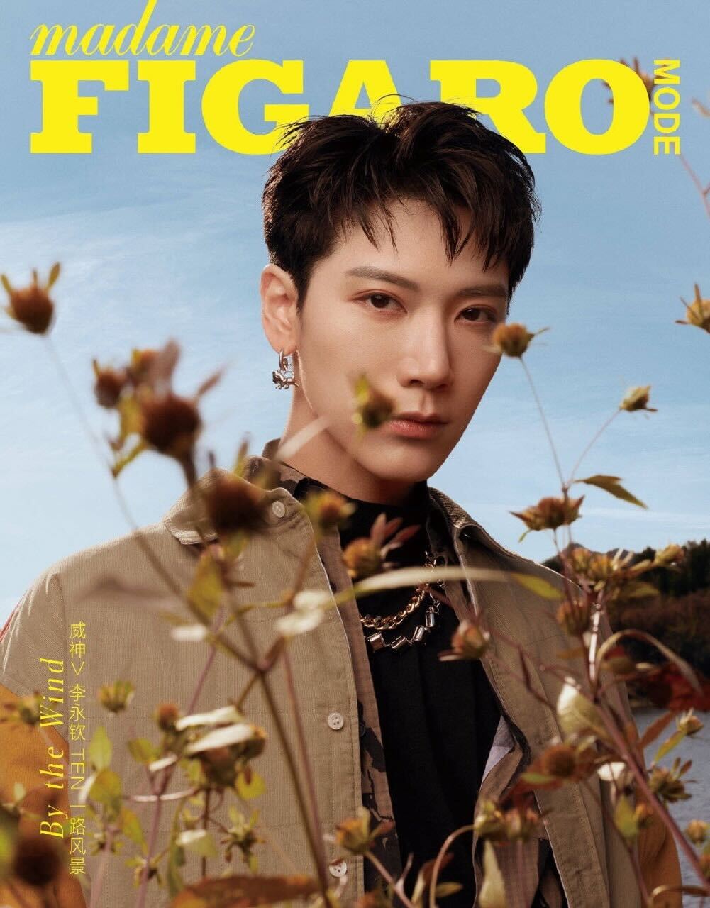 SuperM 雑誌 テン テヨン トレカ NCT WayV - K-POP/アジア SuperM 雑誌 テン テヨン トレカ NCT WayV - K-POP/アジア