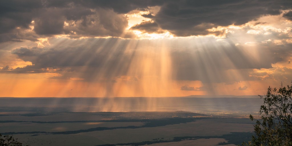 EcoTraining's tweet photo. Scenically, the Masai Mara is one of the most beautiful places. Soft and golden light touching down onto the landscape adding to its natural beauty. 📷 Kim Paffen

#EcoTraining #MasaiMara #EcoQuestcourse https://t.co/0nbpBf9rQs