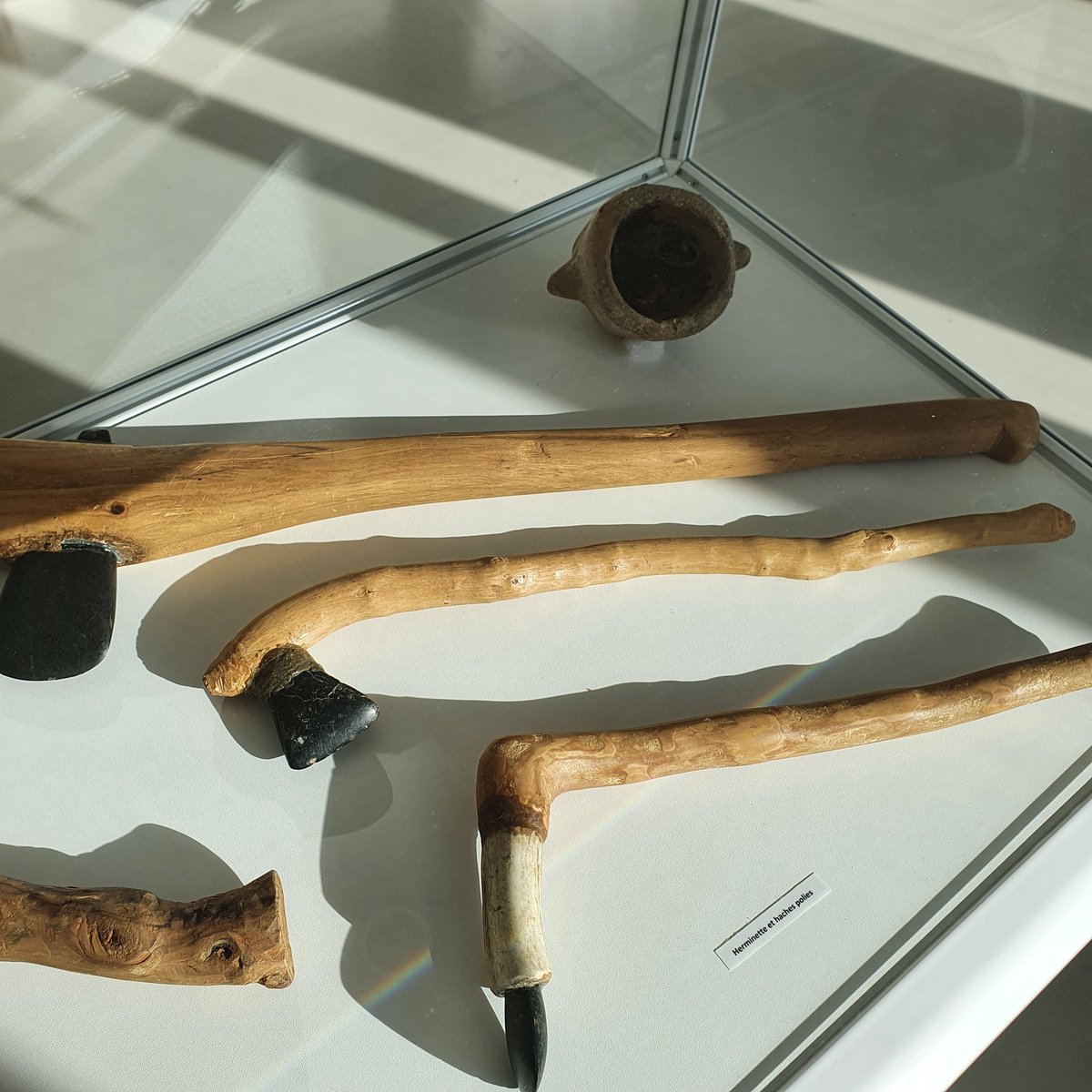 GeniuGherardi's tweet photo. V'aspettemu oghje, à 11 ore!😉
Tout est fin prêt. Nous vous attendons aujourd'hui, à 11h, pour le vernissage de l'exposition "L'archéosite préhistorique expérimental" #Reproduire, #Expérimenter, #Observer.
#ScienceOuverte
@umrlisa @UnivCorse @M3C_Corse @univFRES @FLLASHS https://t.co/ofpNbpS0LV