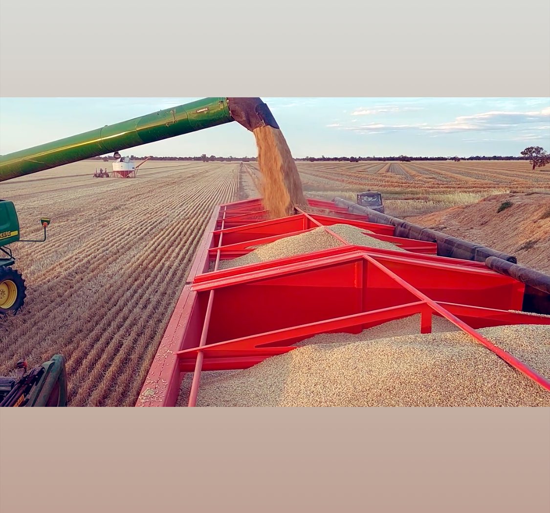 Melissa Brown tweet media