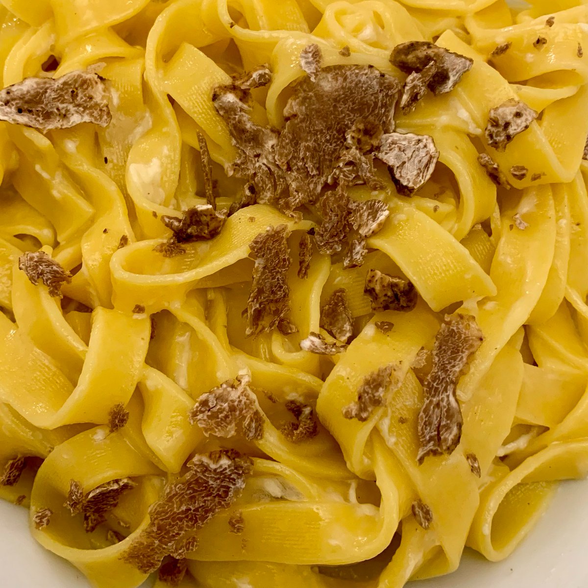 allisglutenfre's tweet photo. Fettuccine fresche #glutenfree di @noobisfood con tartufo bianco delle Crete Senesi e @parmiggianoreggiano. Esaltazione dei sapori e del gusto. #glutenfreegourmet #mangiareitaliano #tartufobianco #glutenfreetravel🍴😋
 Ricetta https://t.co/iFXwJb3s5a https://t.co/rQws8olF4G