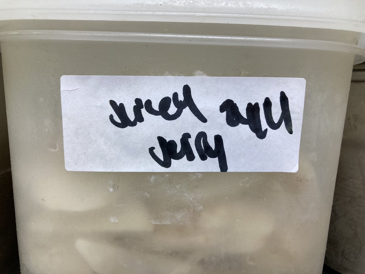 Matt Christmas tweet media