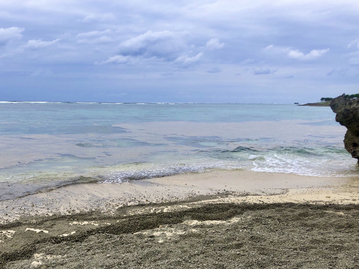 【軽石除去ボランティア募集🙇‍♂️】

令和3年12月18日に軽石除去します！

ボランティアでご協力いただける方は連絡をお願いします🙇‍♂️

※人手が必要なので拡散してもらえるとありがたいです🙇‍♂️

沖縄県北部は大量の軽石が漂流しており漁船が出航できず、沖縄の魚や漁業は深刻な状況。

詳細はリプ欄へ↓