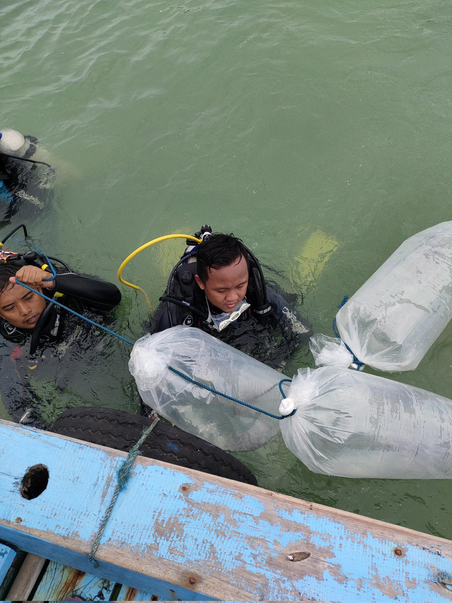 didi_sumedang's tweet photo. Rabu(24/11) didi luhkan pandeglang klp wahana anak pantai ds tanjungjaya kec panimbang, restoking ikan kerapu tikus jumlah 3000 ekor.
#giat satmingkal bogor
#Dkp profinsi banten https://t.co/5KtdsQNRH2