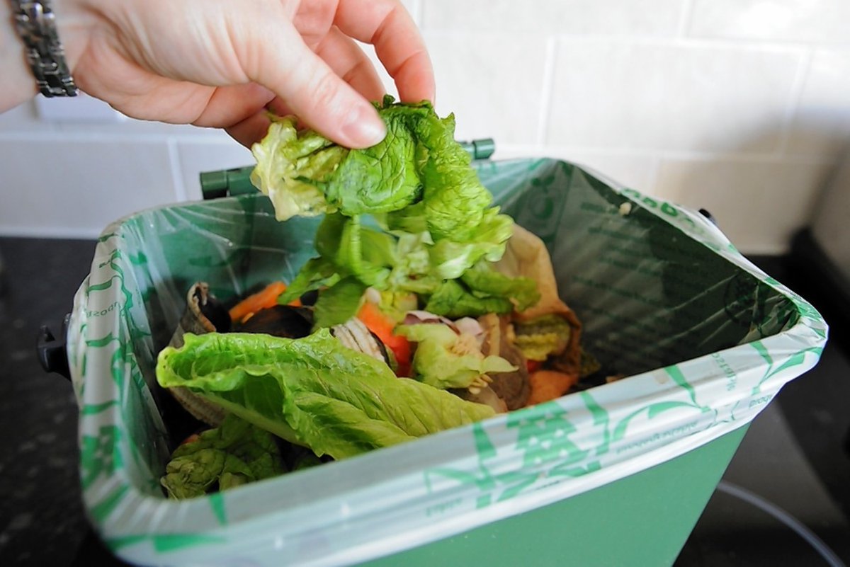REMINDER | Serco will restart separate weekly collections of food waste on residents' scheduled collection day from this coming Monday, 29 November ⬇

derbyshiredales.gov.uk/your-council/n…