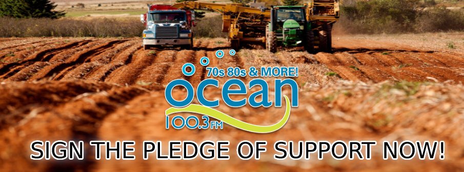 Ocean 100 tweet media