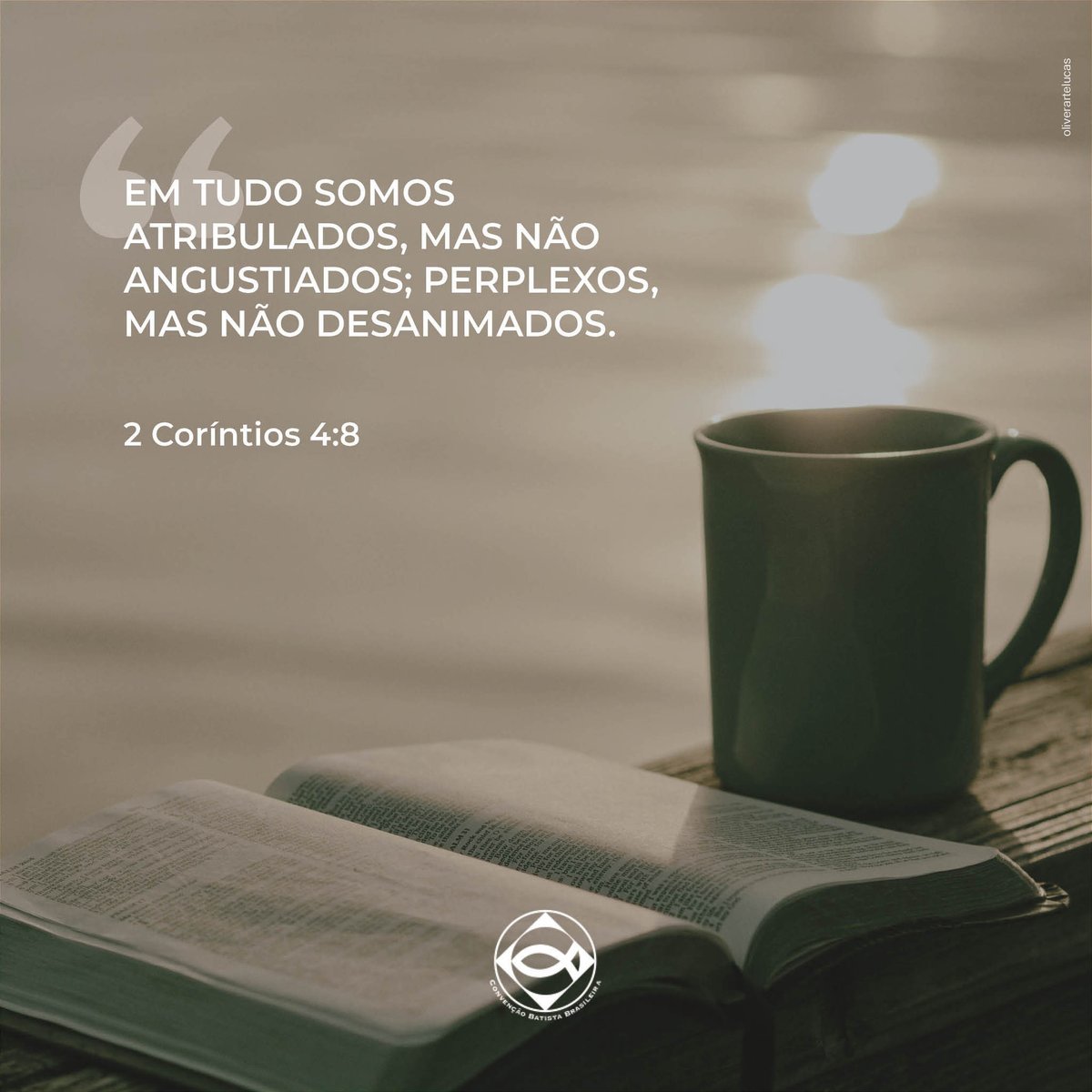 batistasdacbb's tweet photo. Bom dia!

#CBB https://t.co/iQG8pWzxlZ