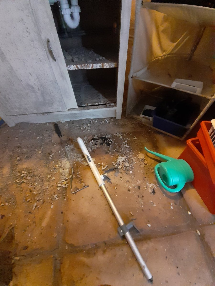 Lcstr_unbugged's tweet photo. We recently cleaned and sanitised this cellar following a rat infestation.  There are some excellent examples of smear marks on some stuff we took out.  #rats #pestcontrol https://t.co/As05UWn7ZM