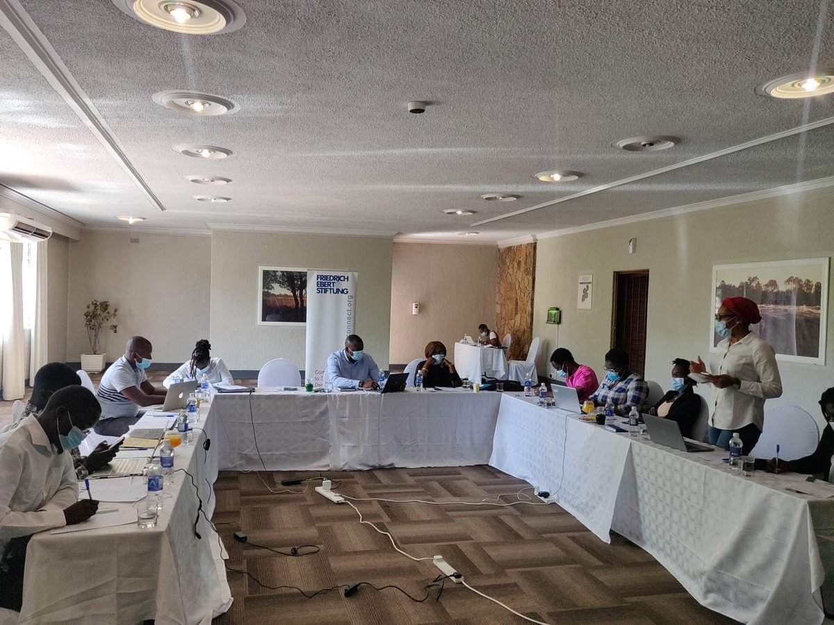 The #YAAN Steering Committee Meeting has commenced in Zimbabwe to review the past two years and planning for the future of the Network.