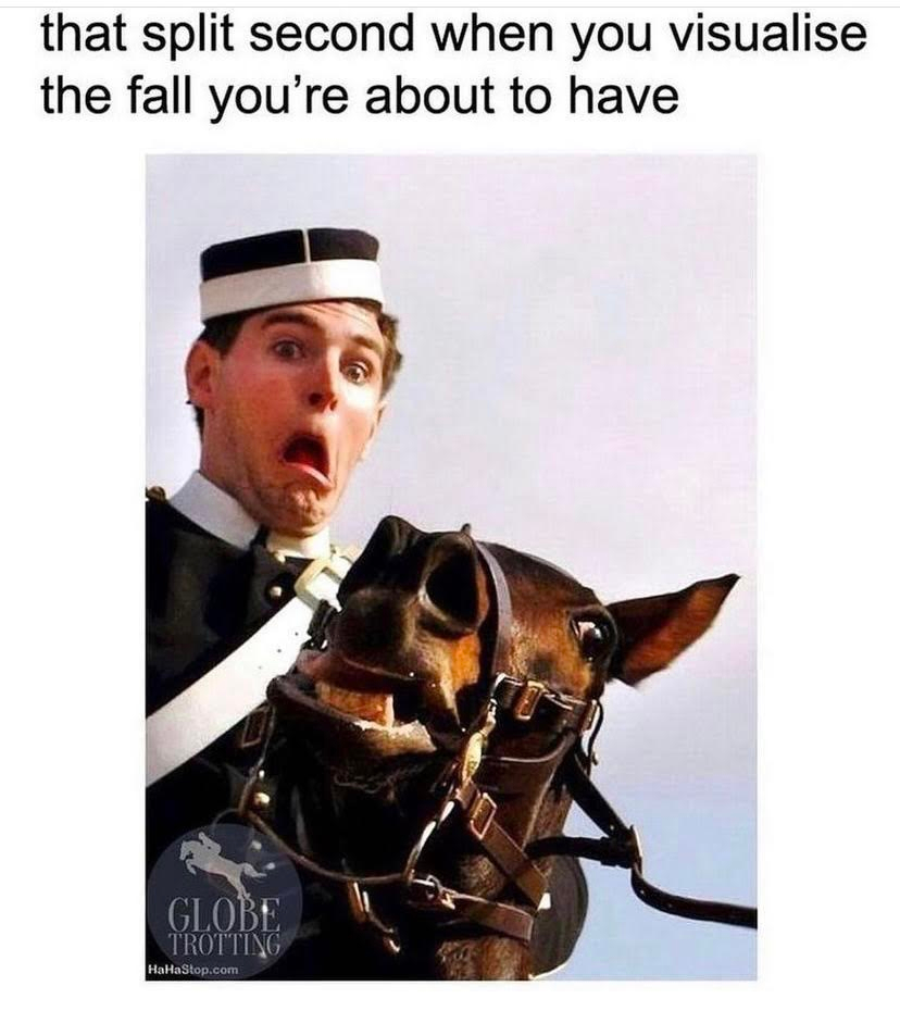 Totally_Tack's tweet photo. Heart in your mouth moment...ππ
#tackshop #tackstore #totallytack #fromesaddlery #wherehorsescomefirst #weloveourhorses #weloveyourhorsetoo #happyhorses #saddlery #frome #horsesupplies #smallbusiness #equestrian #horsesandponies #shopfrome #horsememes #fu https://t.co/7S9PDcFxth