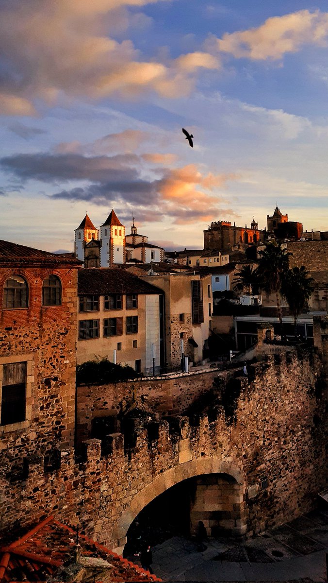 Silvia_6's tweet photo. Hoy se cumplen 35 años de la declaración de Cáceres como Ciudad Patrimonio de la Humanidad. https://t.co/daOVCM5lCf