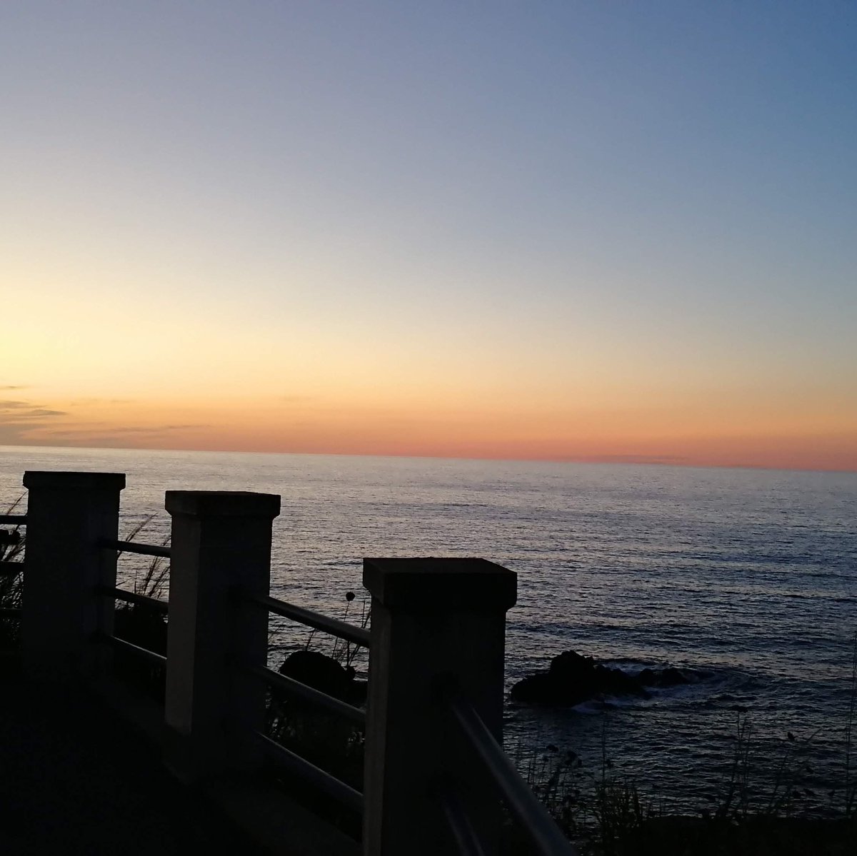 oSaMSoNo's tweet photo. #NewProfilePic https://t.co/PoSK783nMx
