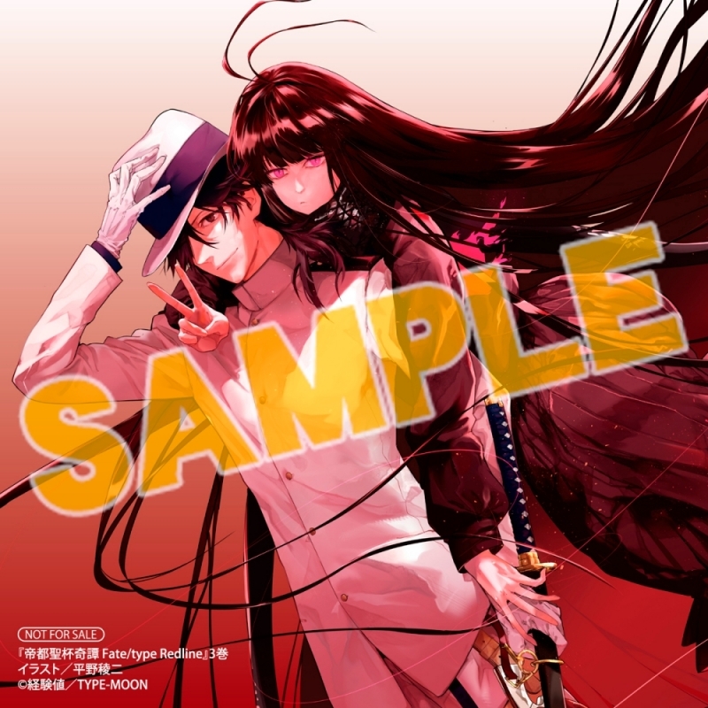 書籍】「帝都聖杯奇譚 Fate/type Redline(3) アニメイト限定セット