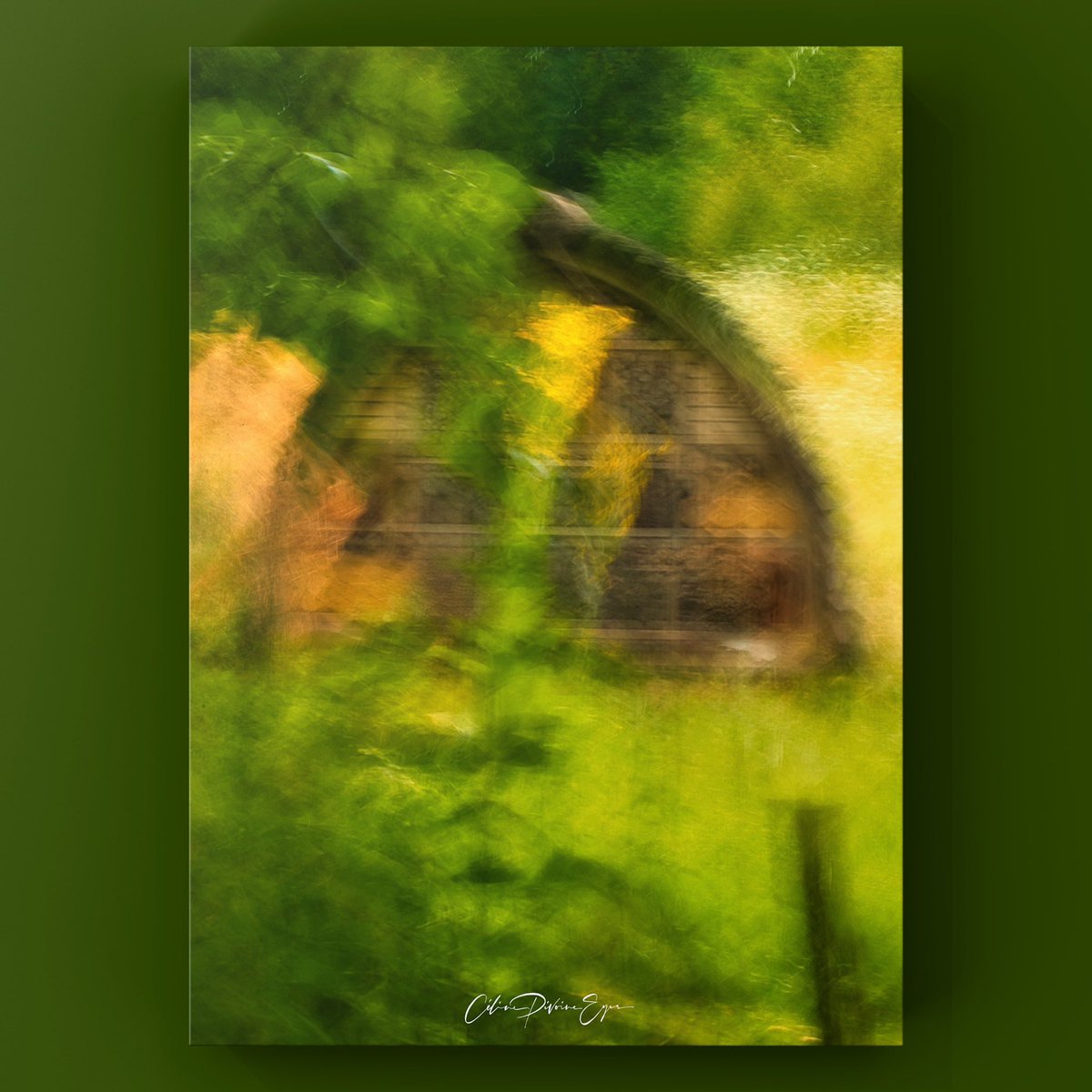 CelinePivoine's tweet photo. Visite au jardin des plantes Paris 

📩 Infos &amp; tarifs : https://t.co/cOnzHZkHJu

#ICM #flouartistique #abstrait #abstract #abstractart #impressionism #abstractphotography #art #femmephotographe #paris #jardindesplantes #jardindesplantesparis #abrisainsectes #maisonainsectes https://t.co/cGsJ0GW80x