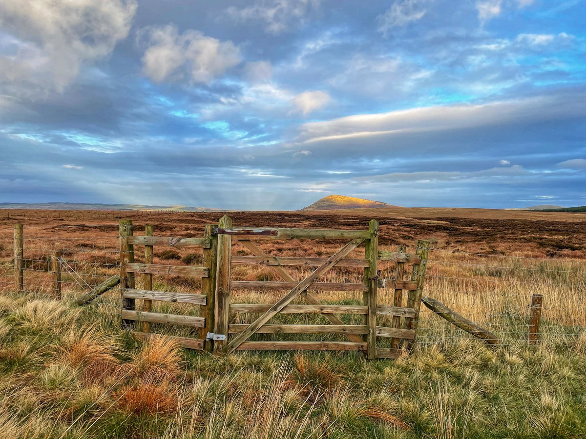 Keswick boot co tweet media