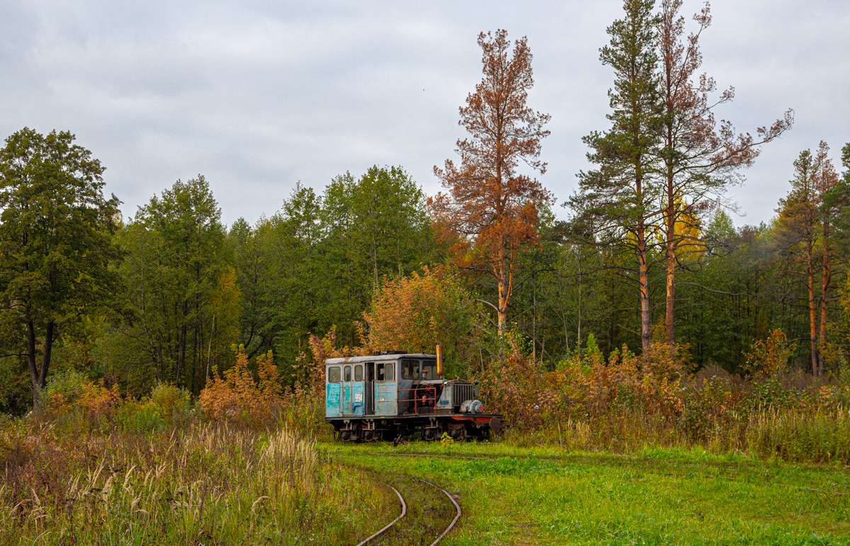 NGR_RU's tweet photo. Diesel locomotive & Power Plant ESU2A-994 on the Gusevskoye peat narrow-gauge railway in Vladimir Oblast, 02.10.2021. Photo: Artik7023. #Russia #narrowgauge #ESU2A #schmalspurbahn #transport #eisenbahn #railway #bahn #torfbahn #ужд #узкоколейка #Vladimir #peat #ЭСУ2а #Мезиновский https://t.co/aFLgFjwcCD