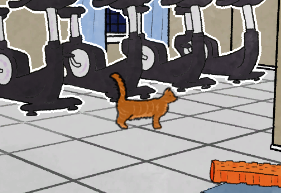 SuddCity's tweet photo. Cat knows just how much you ate for #Thanksgiving . Cat is judging you. Cat says, "buy @SuddCity Adventures for PC. Now available on #Steam for just $0.99." Calorie insta-burn.

https://t.co/qX35pp3Vgi

#SteamAutumnSale #IndieGameDev #indiegames #madewithunity https://t.co/3C6BdCzroq