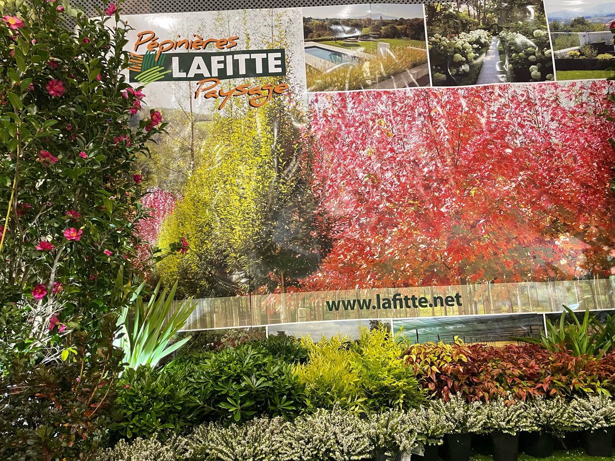 SalonInnobat's tweet photo. Bonjour à tous ! 
Nous démarrons cette 2eme journée de salon en fleurs 👉🏼 merci 🙏🏼 Pépinières Lafitte Paysage https://t.co/zrkiQbqFIJ