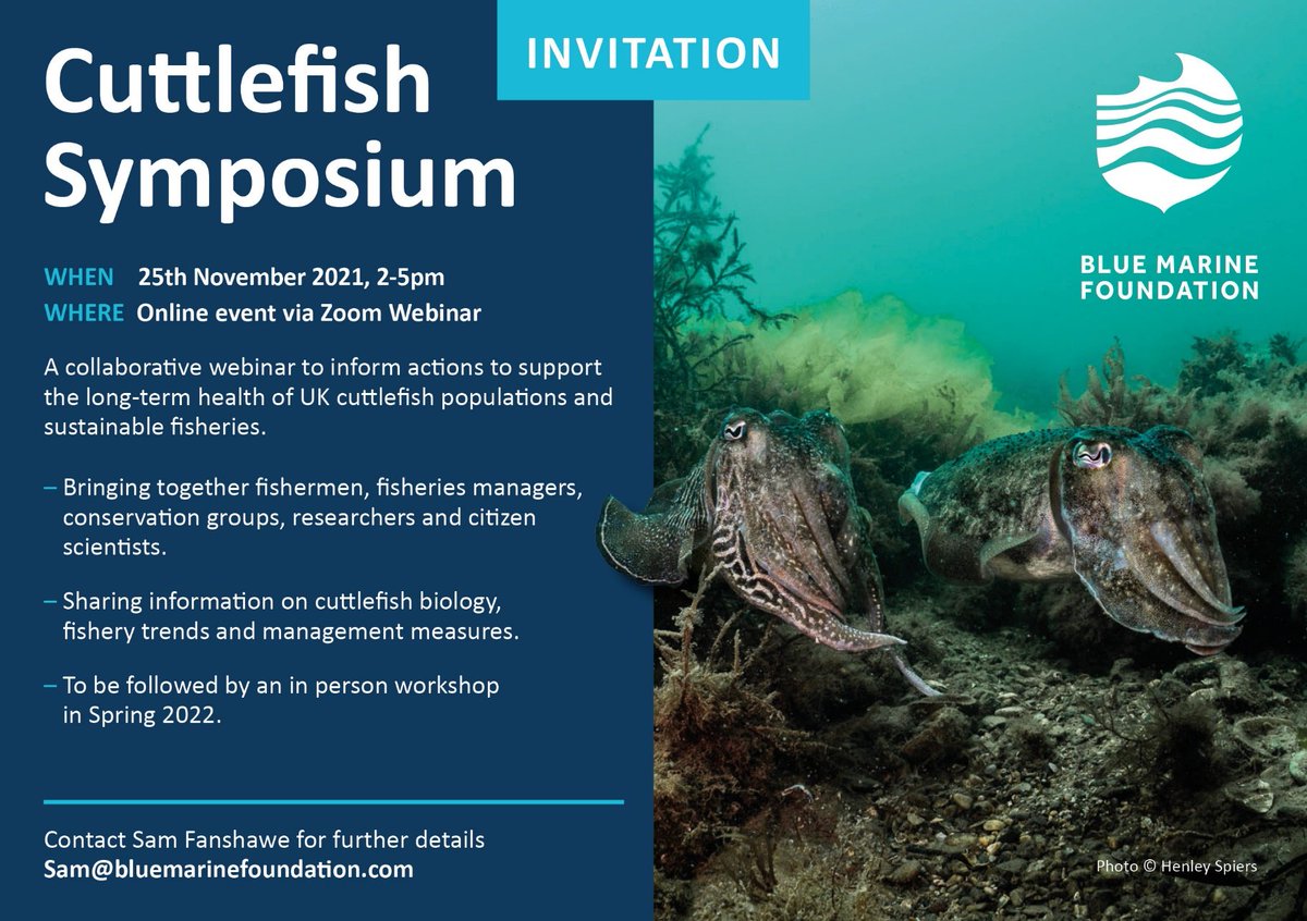 cuttle_cons's tweet photo. Very excited for this later today! @Bluemarinef 

#Cuttlefish #CephalopodResearch #Conference https://t.co/nbLbbSmqqi