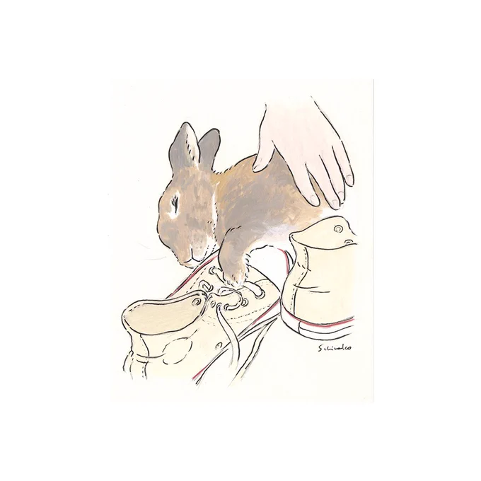 #うさぎさんポートレート
飼い主さんの靴と寝るうさぎさん。 