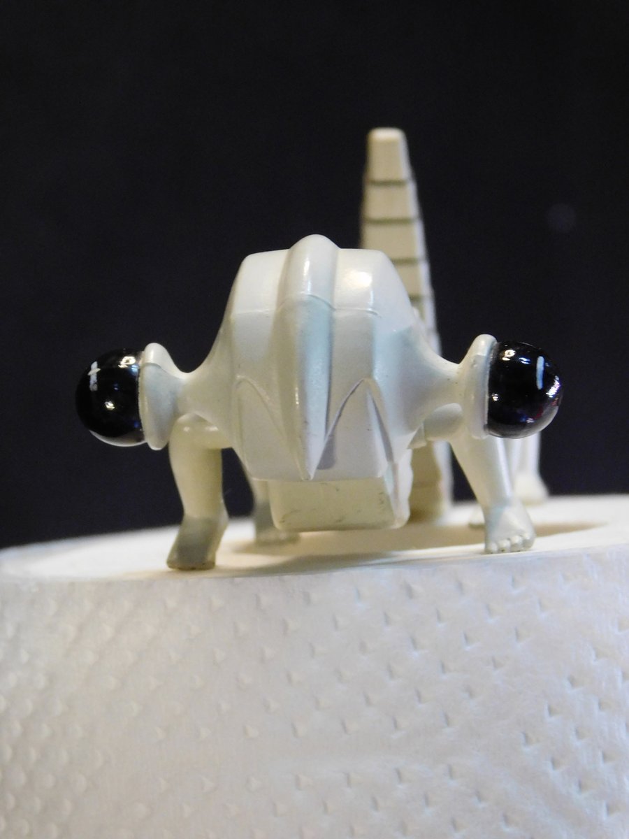 femi_nin's tweet image. ”でんぐりでんぐり”　
家族になったふぇみ♪

なかよくなるには
時間は必要。

びっくりすると
まるまる。

#Curlup　
#Escher