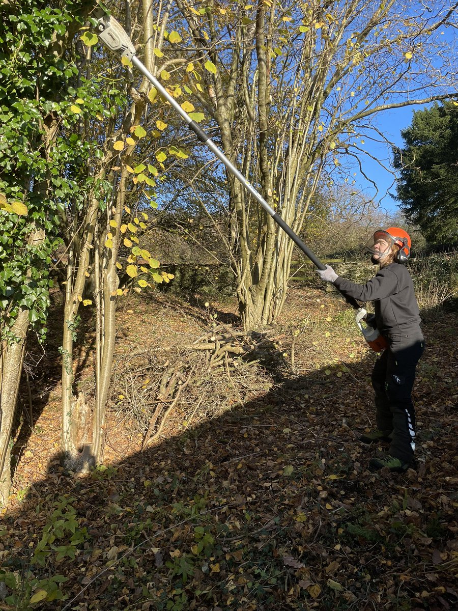 ntarnsidesilver's tweet photo. Ranger Emma carrying out some boundary tree work. Some days you just need a long handle saw for precision work 😁 #rangerwork https://t.co/h1DVHRD4cJ