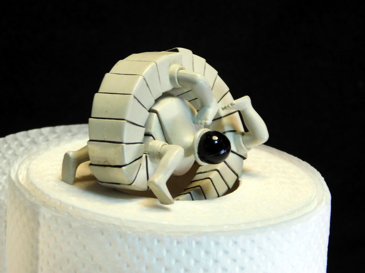 femi_nin's tweet image. ”でんぐりでんぐり”　
家族になったふぇみ♪

なかよくなるには
時間は必要。

びっくりすると
まるまる。

#Curlup　
#Escher