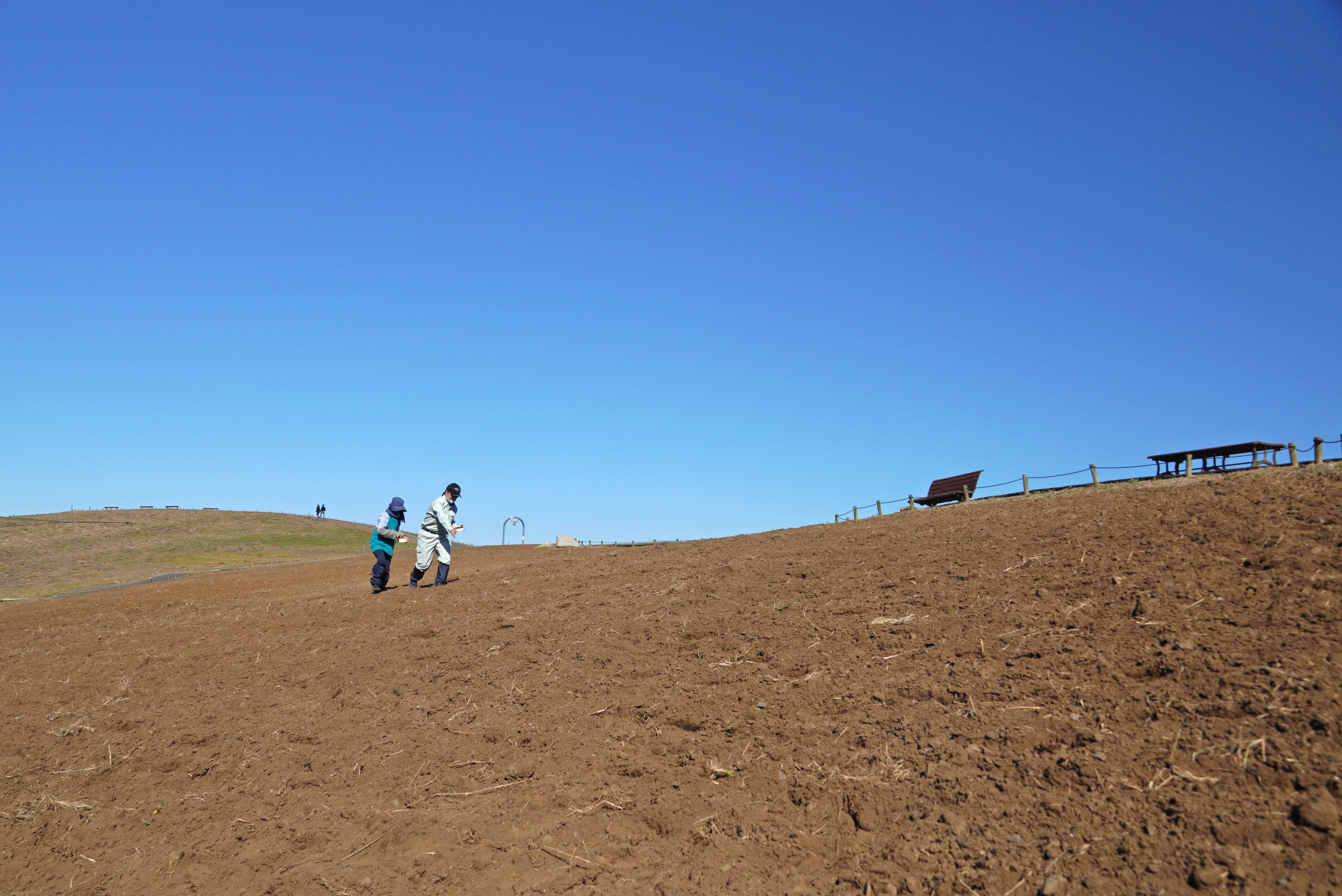 国営ひたち海浜公園 公式 みはらしの丘では 来春に向けネモフィラの種まき が始まりました 花と空と海の青が溶け合う風景をつくるための第一歩 どこまでも続いていくかのような丘に 種をまいていく様子は 秋から冬への季節の移り変わりを感じさせて